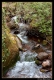 Cascada-2~0.jpg