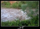 Crecida-Cidacos-7.jpg